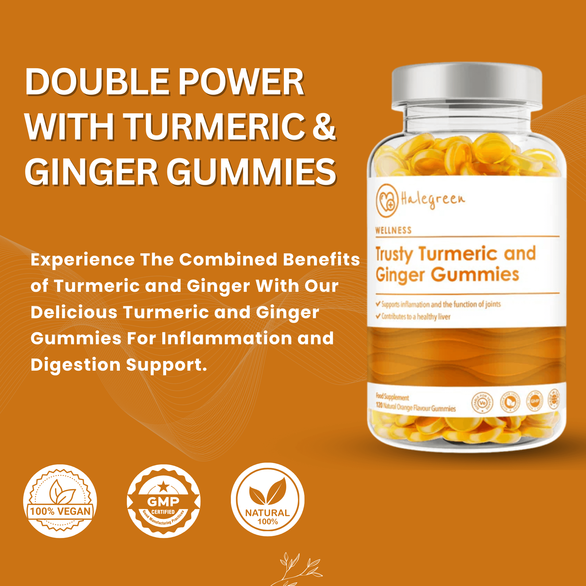 Trusty Turmeric and Ginger - 120 Gummies